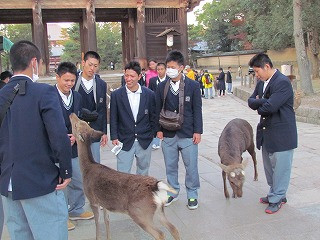 古高2年生が奈良，京都，大阪に修学旅行に行きました。