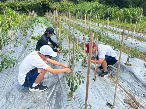 LINE_ALBUM_インターンシップ_250711_29