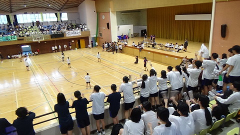 DSC00205